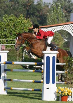 Foto de Cavalo Pulando Obstáculos Durante O Treinamento De Escola